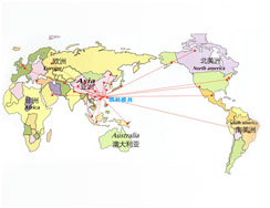 distribution network 